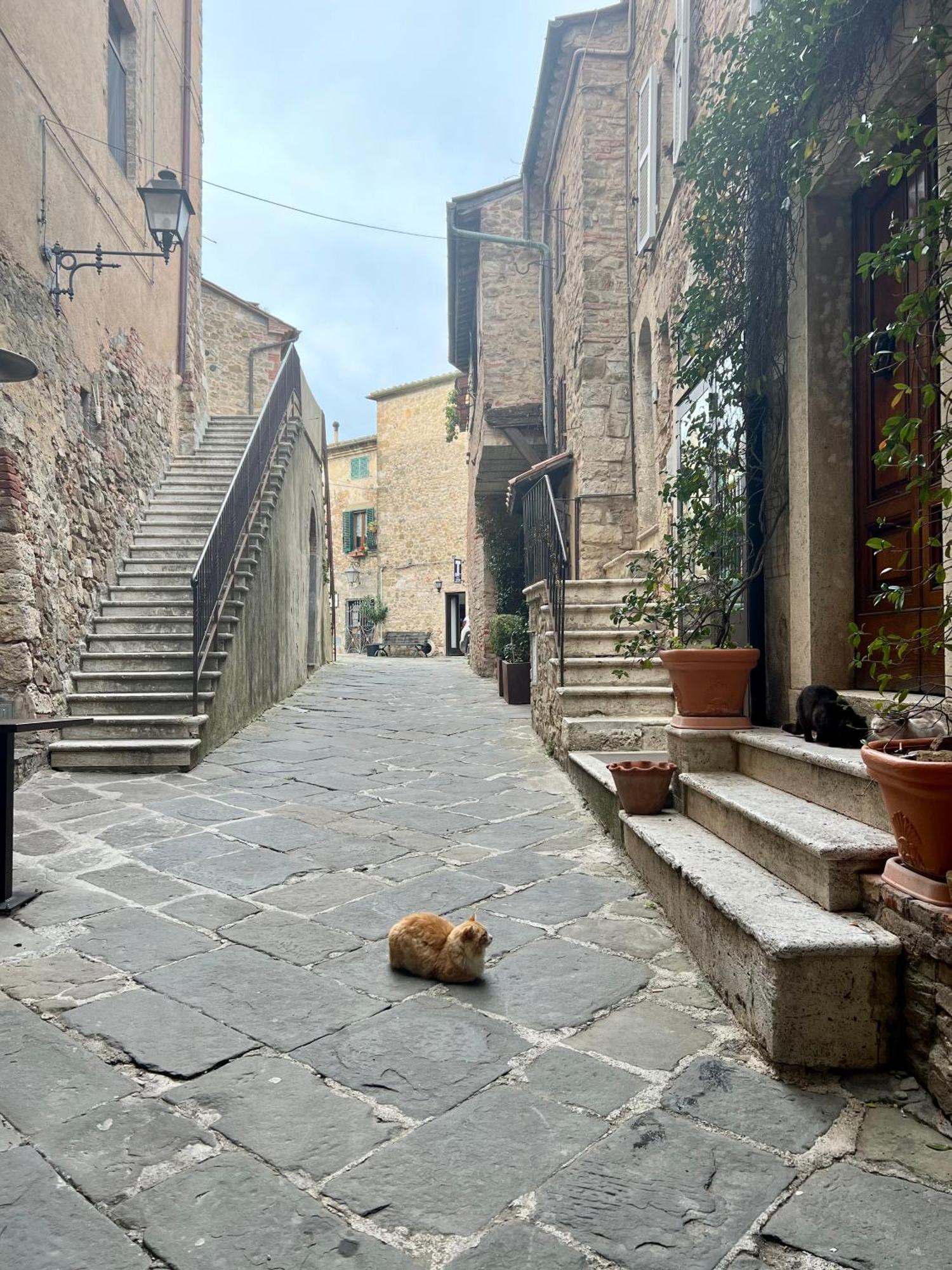 Casa Pruno Rosso Lejlighed Montemerano Eksteriør billede